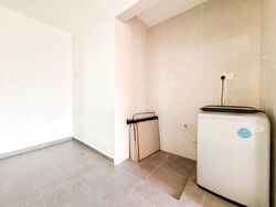 Nature Mansions (D15), Apartment #555334931